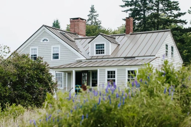 A house surrounded by green plants during daytime